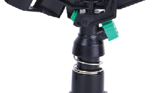 ក្បាលសាចស្រ្ពីងគ្ល័រ