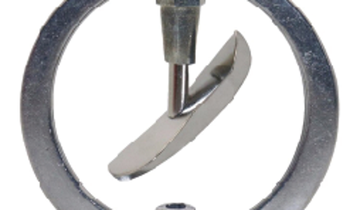 ក្បាលសាចទឹកតូច