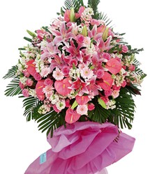 HOA ĐỒNG TIỀN - GOOD LUCK 4