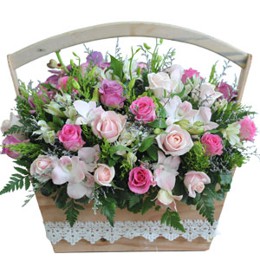 HOA LAN - GÁNH HÀNG HOA