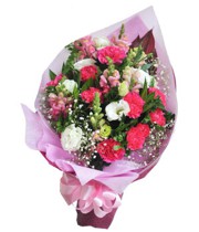 HOA CẨM CHƯỚNG - ROMANCE