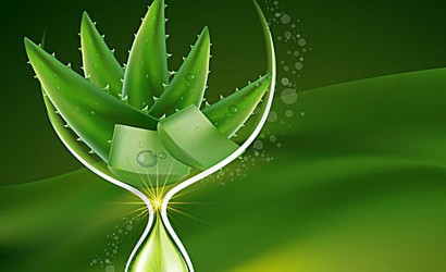 កីឡាករឆ្នើម ចាន់ វឌ្ឍនាកា