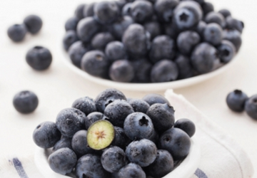 ប៊្លូបឺរី នូវែលសេឡង់