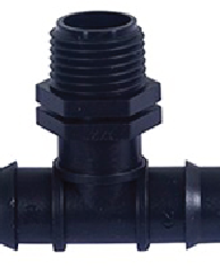 តំណតេធ្មេញក្រៅ