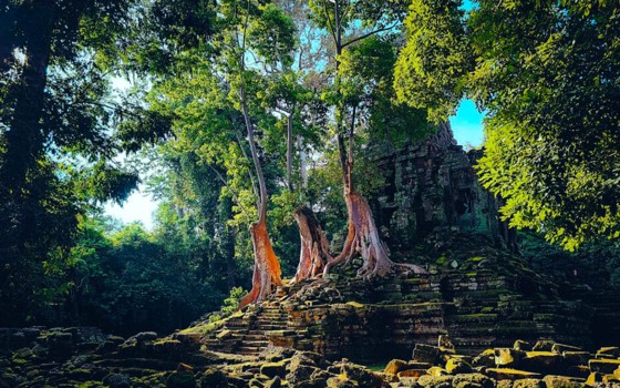 ប្រាសាទព្រះបាលិលេយ្យ