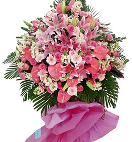 HOA ĐỒNG TIỀN - GOOD LUCK 4