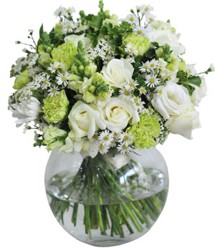 HOA HỒNG - NGÀY XANH