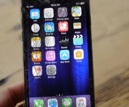 Thanh niên rảnh rỗi mang iPhone 7 ra "trêu" cá sấu và cái kết đắng lòng