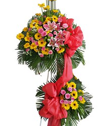 HOA LY - THÀNH CÔNG 1