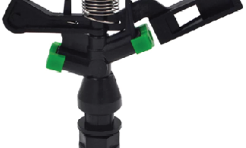 ក្បាលសាចស្រ្ពីងគ្ល័រ