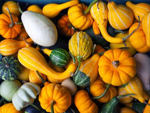 4 ចានលាយជាមួយល្ពៅសម្រាប់ទារកអាយុពី 6 ទៅ 8 ខែ