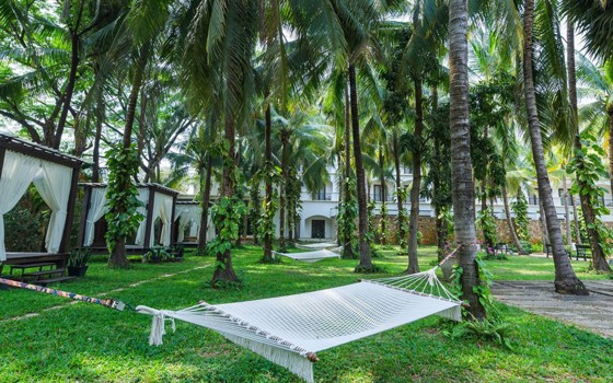 Lotus Blanc រីសត​ ខេត្តសៀមរាប