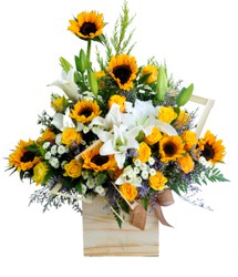 HOA HỒNG - NHẶT NẮNG