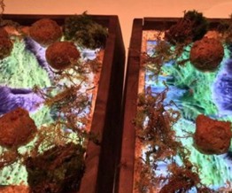 Nhà hàng sang chảnh tại Mỹ phục vụ đồ ăn trên iPad