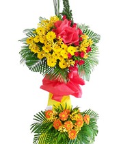 HOA ĐỒNG TIỀN - HƯNG THỊNH 4