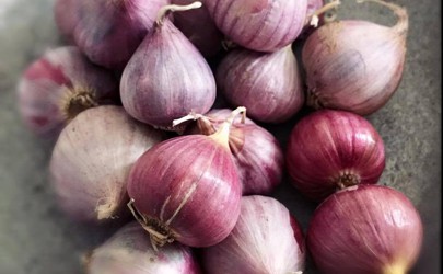 Rượu tỏi chữa bệnh