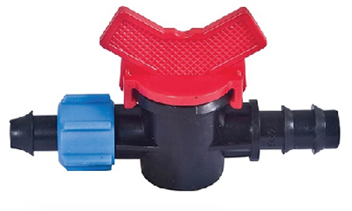 វ៉ានតូច