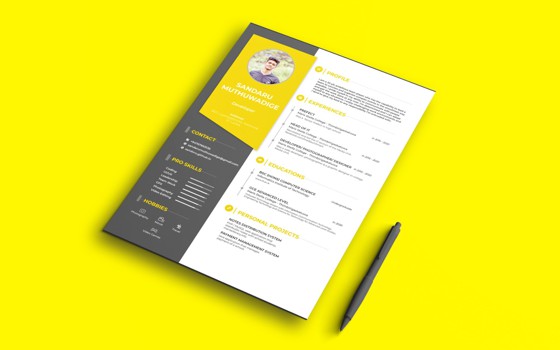 CV ứng tuyển kế toán cần những kỹ năng gì?