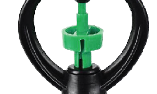 ក្បាលសាចទឹកតូច