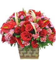 HOA HỒNG - MAY MẮN