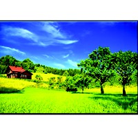 Tranh trang trí  07