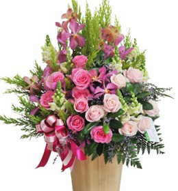 ផ្កាអ័រគីដេ - ពេលចិត្តស្រឡាញ់