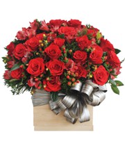 HOA HỒNG - BÙNG CHÁY