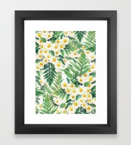 Khung Tranh Dương Xỉ và Hoa Cúc