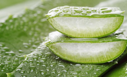 ឌ្ឍនាកា ដែលកំពុងតែប្រកបអាជីព