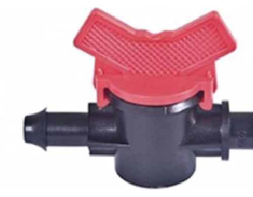 វ៉ានតូច