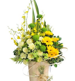 HOA CẨM CHƯỚNG - MAY MẮN 3