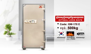 Digital Safe 500kg