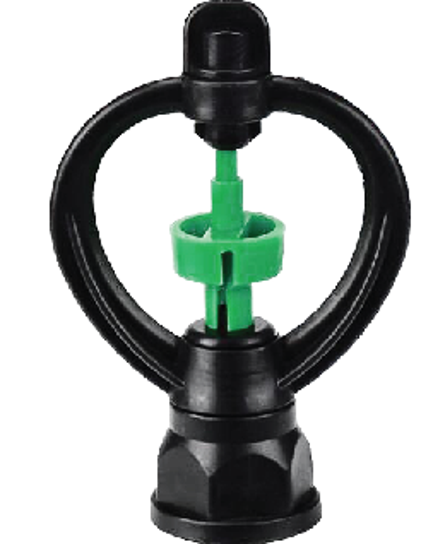 ក្បាលសាចទឹកតូច