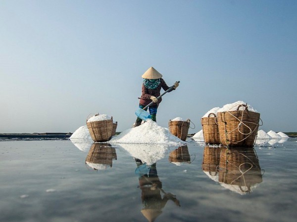 Sự Khó nhọc của nghề làm muối 