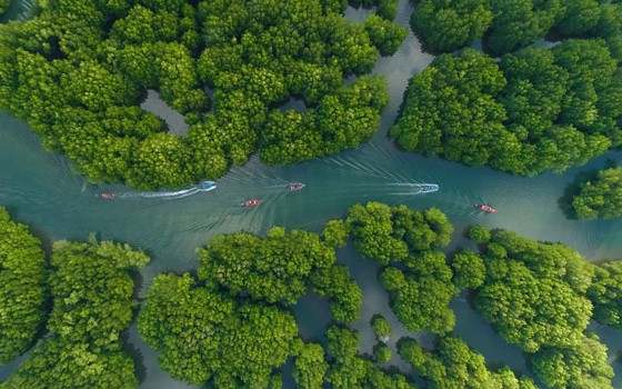 ឆ្នេរពាមក្រសោប