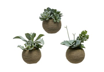 Chậu hoa Lotus jute