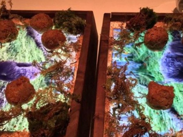 Nhà hàng sang chảnh tại Mỹ phục vụ đồ ăn trên iPad