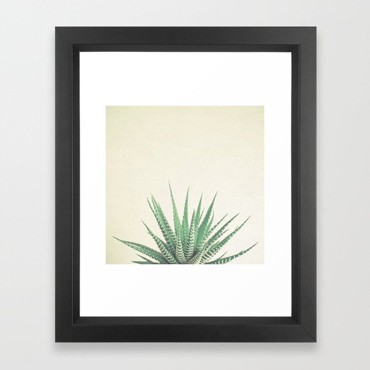 ស៊ុមរូបភាពដើមឈើនាគ