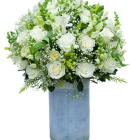 HOA CẨM CHƯỚNG - BAN MAI