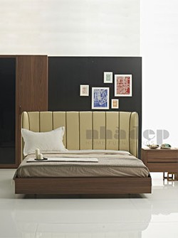 Giường ngủ người lớn số 9