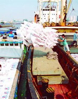 Dịch vụ phân phối hàng hóa thiết bị XNK và nội địa