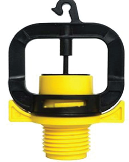 ក្បាលសាចទឹកតូច