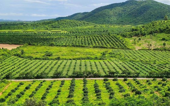 ភ្នំ​វល្លិ ខេត្តកែប