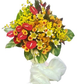 HOA ĐỒNG TIỀN - VỮNG TIN 2