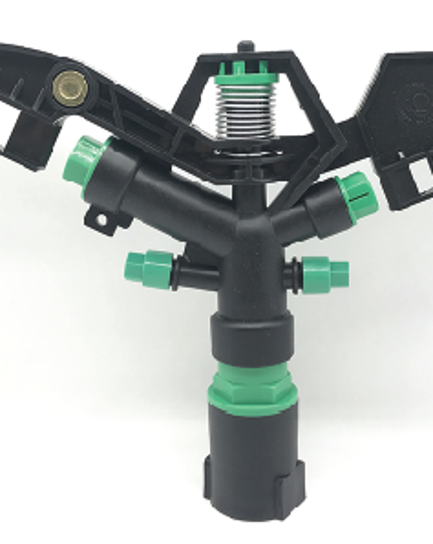 ក្បាលសាចស្រ្ពីងគ្ល័រ