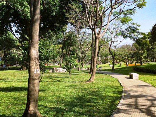 Lorem ipsum dolor sit amet, consectetur adipiscing elit, sed do eiusmod tempor incididunt ut labore et dolore magna aliqua 50