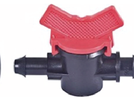 វ៉ានតូច