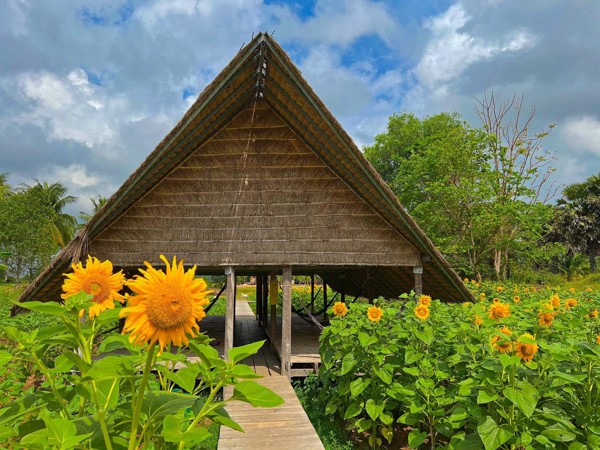 ស្ពាន​យោលចំការ​ដូង​ម្លិច ខេត្តកំពត