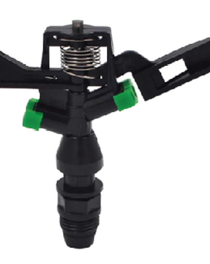 ក្បាលសាចស្រ្ពីងគ្ល័រ