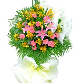 HOA LY - TƯƠI SÁNG 3